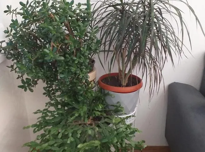 Trosoban Sarajevo, Ilidza Centar דירה סראייבו